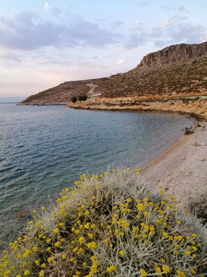 Oasis Apartments Λιβάδια Εξωτερικό φωτογραφία