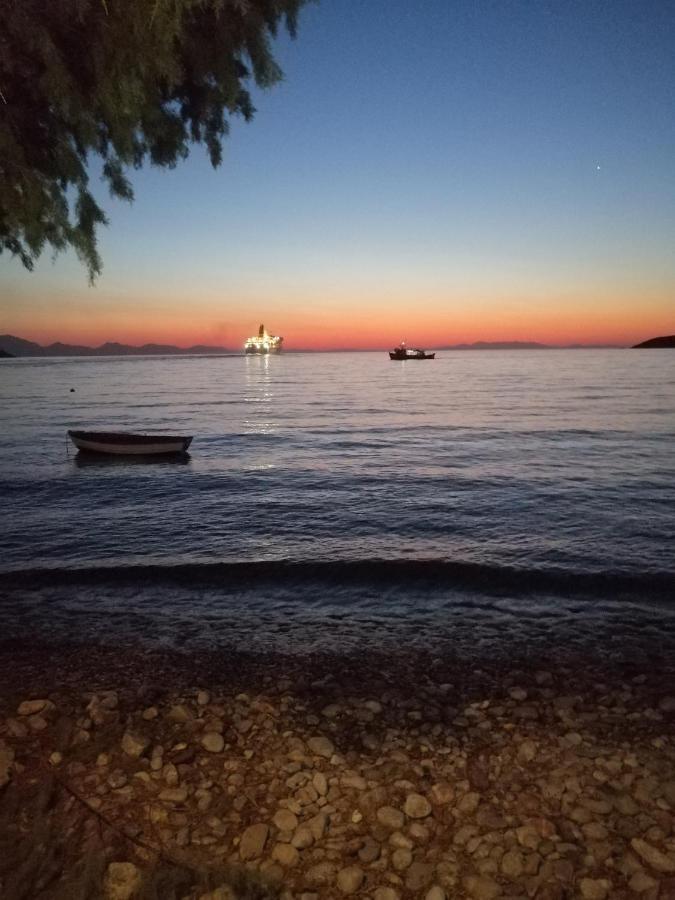 Oasis Apartments Λιβάδια Εξωτερικό φωτογραφία